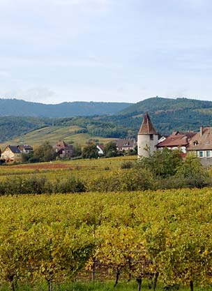 Elsass